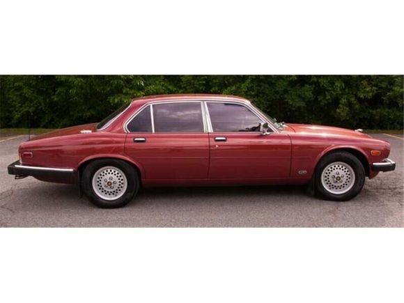 The side view Canadian version bumpers