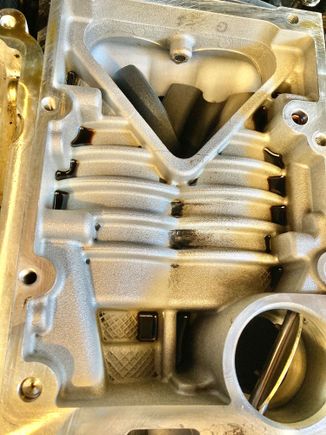 Normal oil deposits on top of SC??