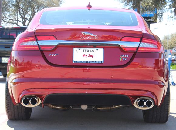 What an Ass!!!