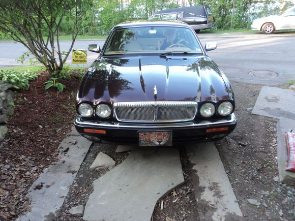 Fritz is All shined up a few weeks before committing suicide.