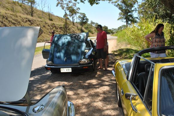 Hot  XJS, Maleny 2014.