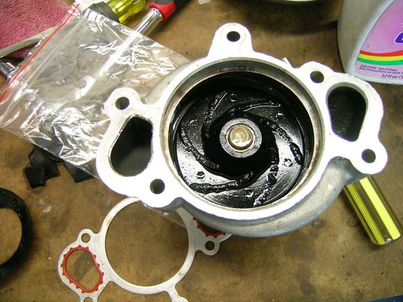 Old pump with plastic insert removed