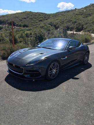 Stopped to social distant detail today.