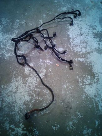 Old harness