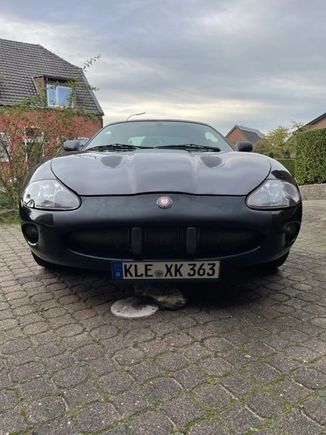 Temporary foil on nose until i can afford a respray
