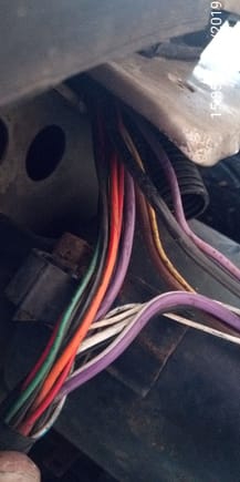 Wiring harness from fan control relay socket and fan connector LS26