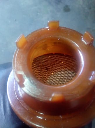 Conrod bearing fragments in my oil pick 