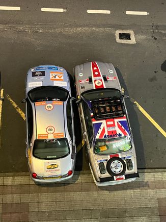 Rusty & Rover getting cozy