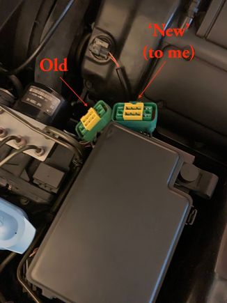 Photo taken midway into transplant.