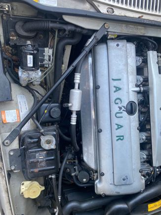 Where would trans electronic be?