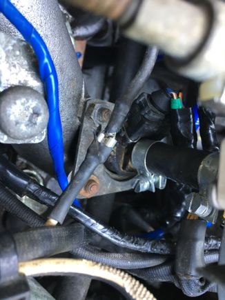 If I touch the light prong to this spade connection the pump turns on and sounds like a zap noise. I'm terrible with electrics so this is all new to me