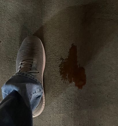 ^— That is a size 13 shoe —^