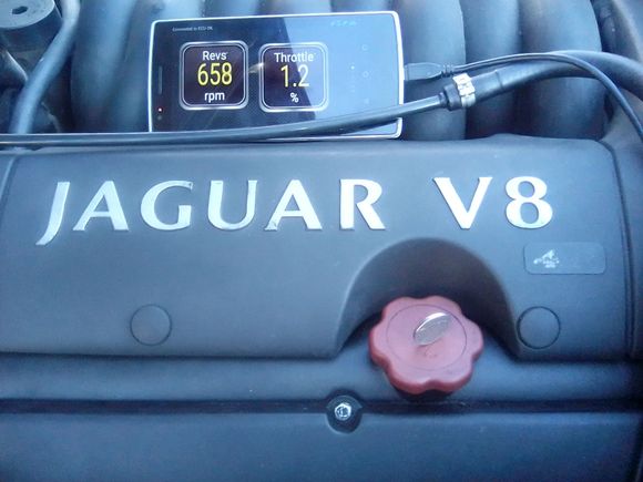 oil filler cap turned out to be level enough