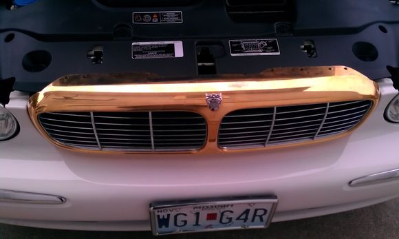 Gold grill