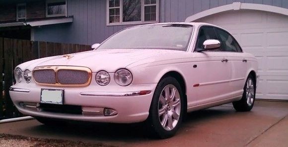 SS Mesh with Gold Grill