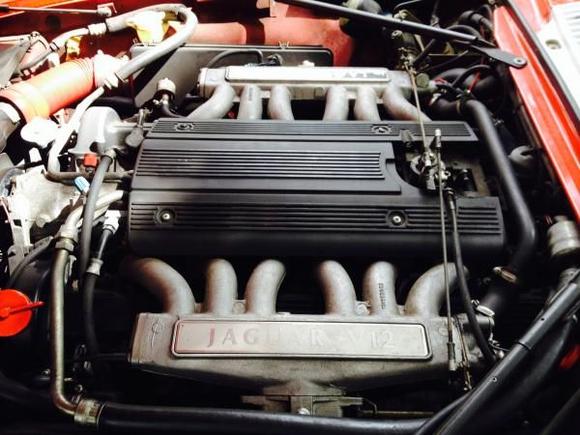 Alpha-Cat under the hood........