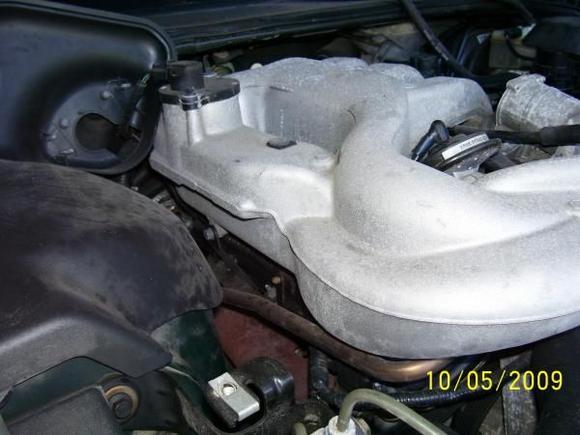 Jag pics 012