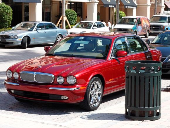 Eternal at Mizner Park chilling with his friend Blue Jag haha