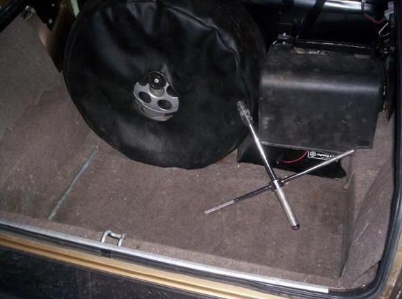 trunk pic 1