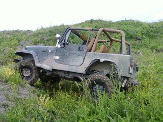 flexing in a field