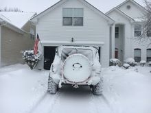 9 rescues latter home