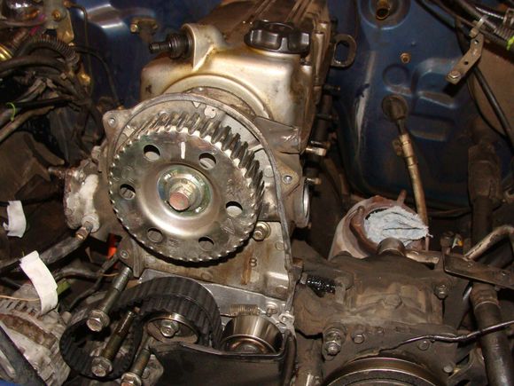 Timing belt intsall