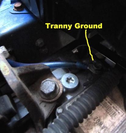 Tranny Ground