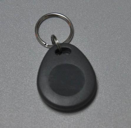 P 06 back