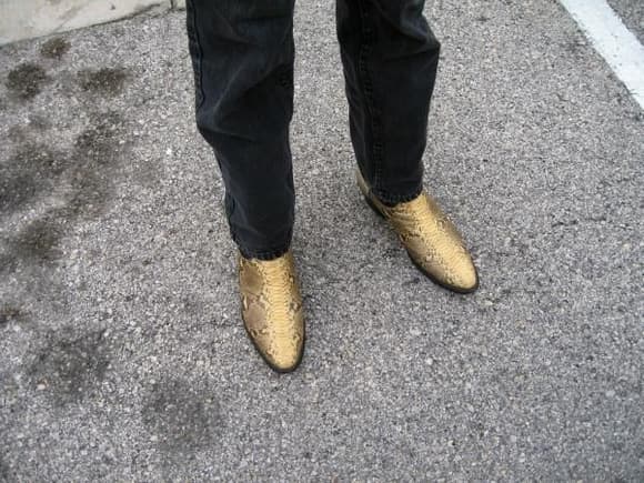 The famous &quot;Gold&quot; boots (only they are python skinned.)
05/07