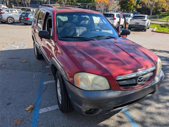 Would a wrap work on the hood after sanding it?