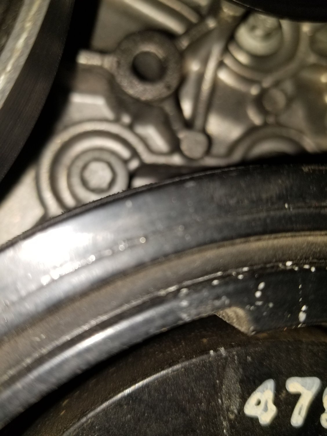 Chirping belt Forums