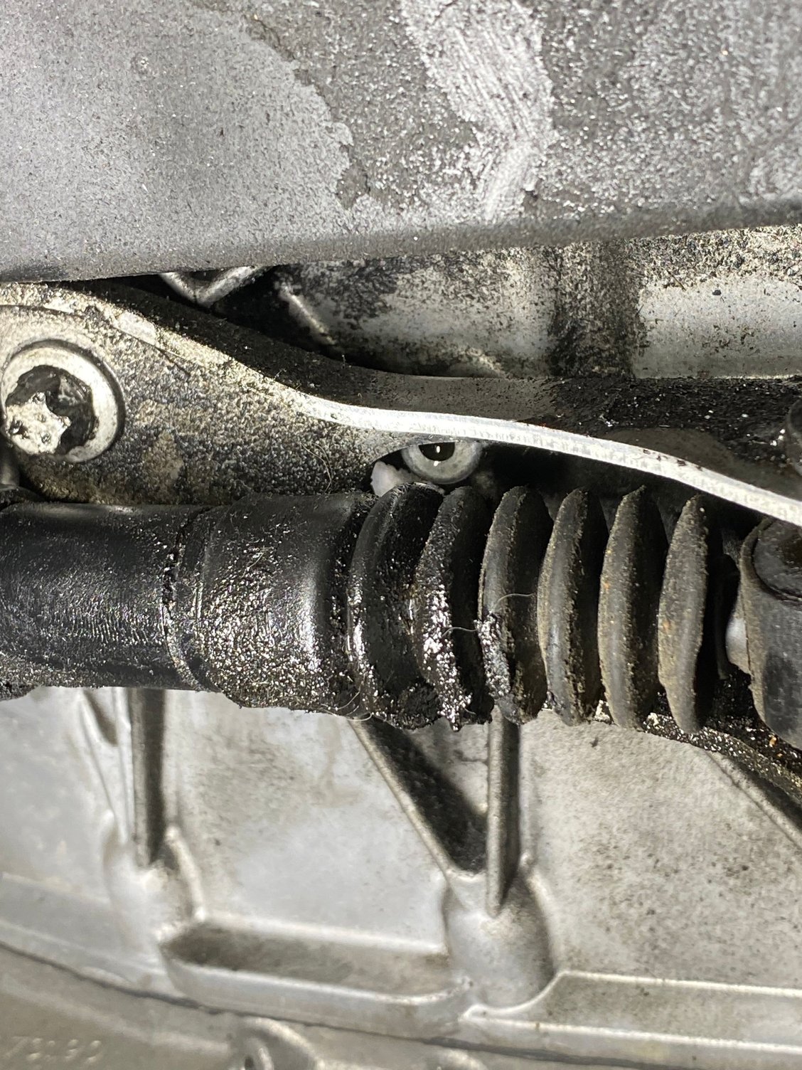 Transmission oil leak. Dealer will not agree that its leak MBWorld