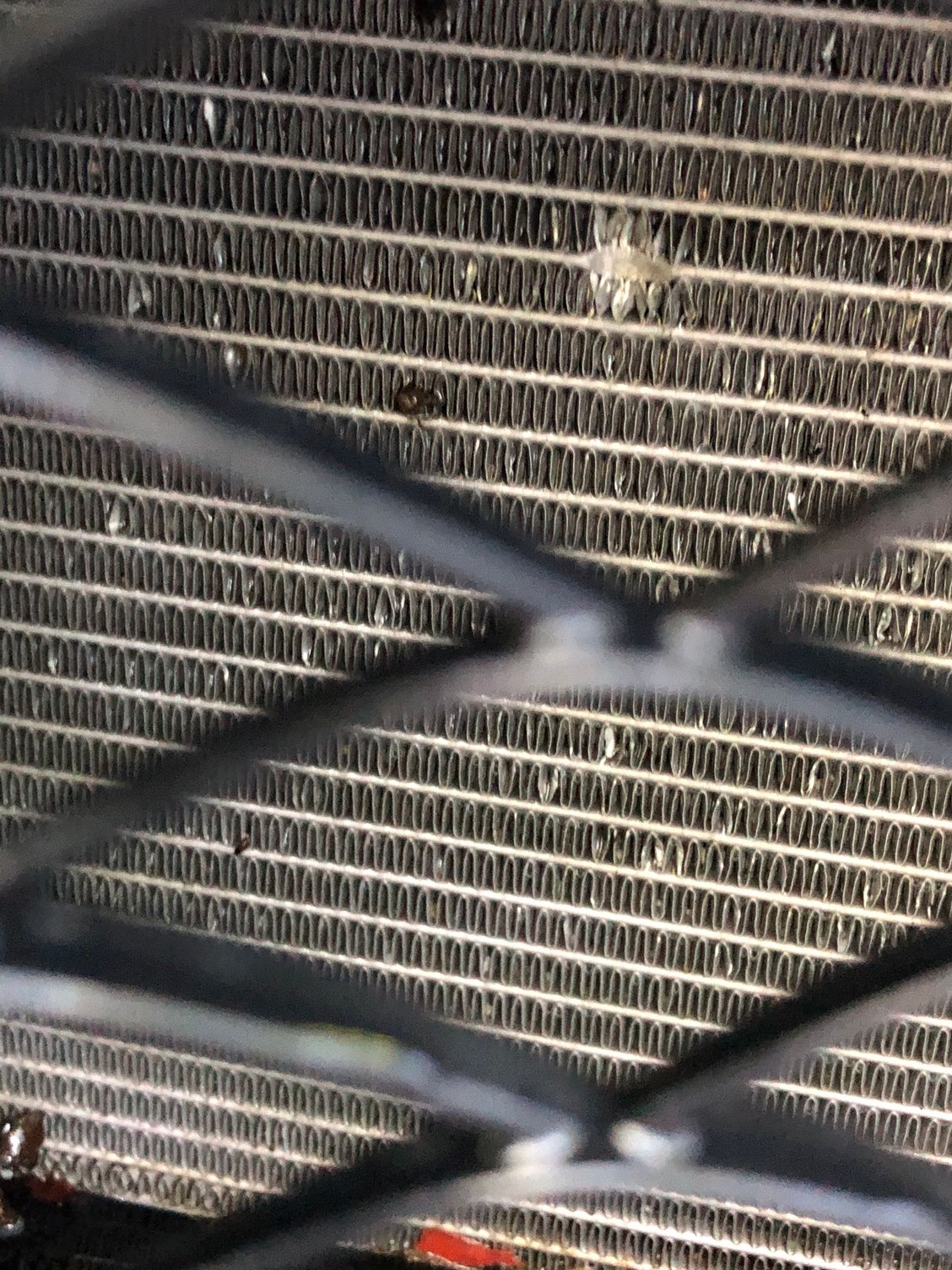 Radiator dent should I worry? Forums