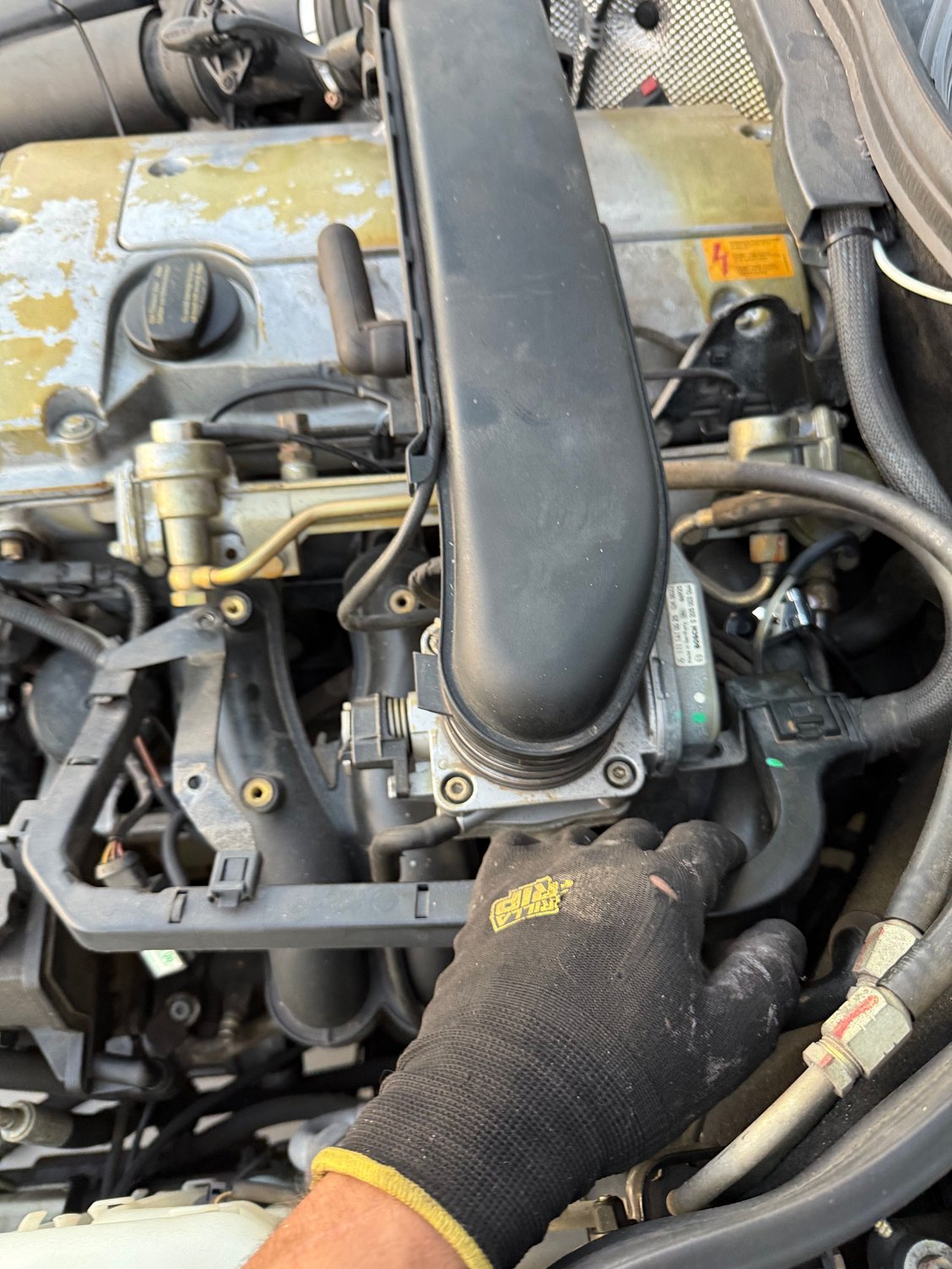 I loosed up this to get more access to the top starter bolt. 5 or 6 mm allen. 