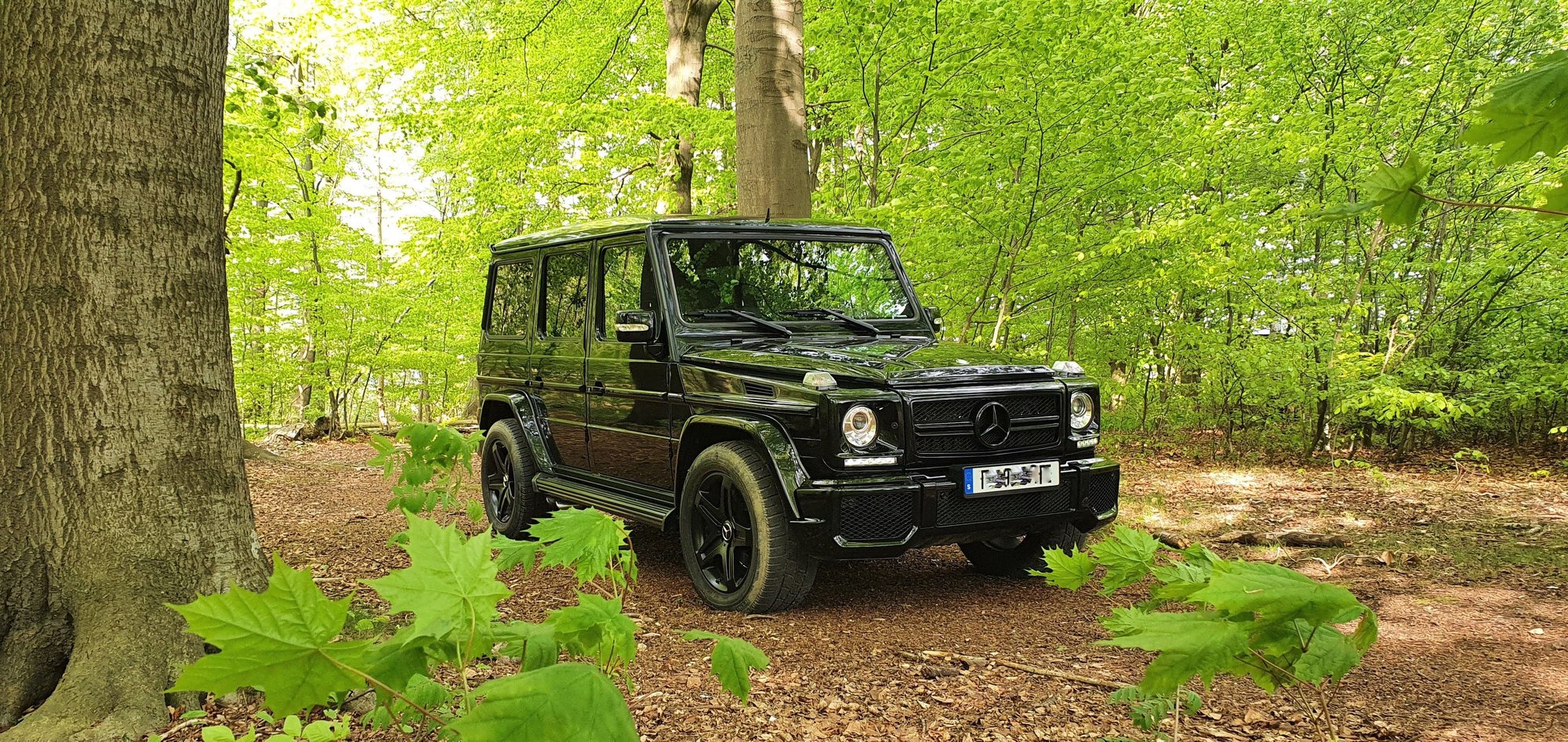 Post a picture of your G Wagon - Page 12 - MBWorld.org Forums