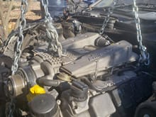 My goal has always been to throw a M113K into my CLK and honestly i wouldnt have embarked on this project so soon if it was for the fact i found this donor '03 S55 for a steal!!! So if anyone needs any W220 parts i got them on the cheap