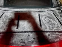 Alien markings on cold SL trunk. 