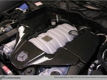 These are the Carbon Fiber Intakes that I have, they are made by Carbonio, and they flow 25 percent more air than stock. 