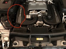 engine bay circled is where ECU is but you must grab it from underneath the car 