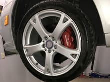 Painted calipers and white Mercedes vinyl decal