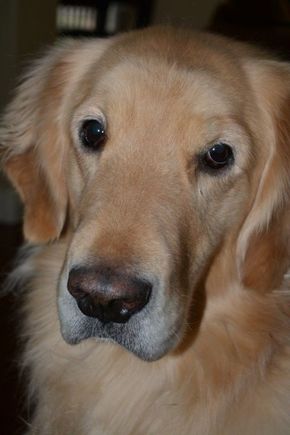 I get this look almost all day.