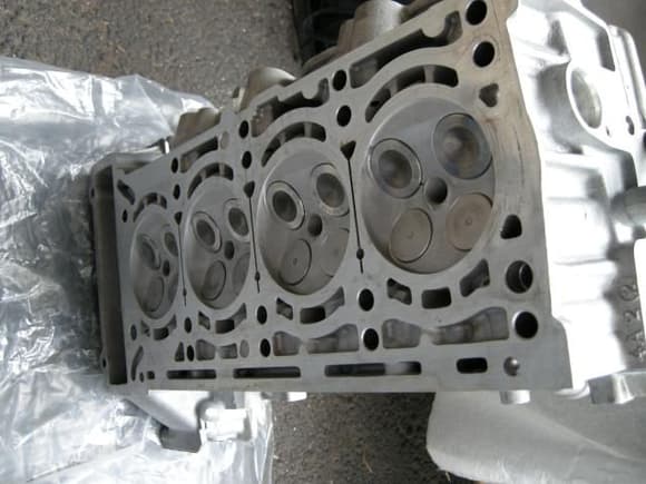Cylinder head back from the shop. New intake valves