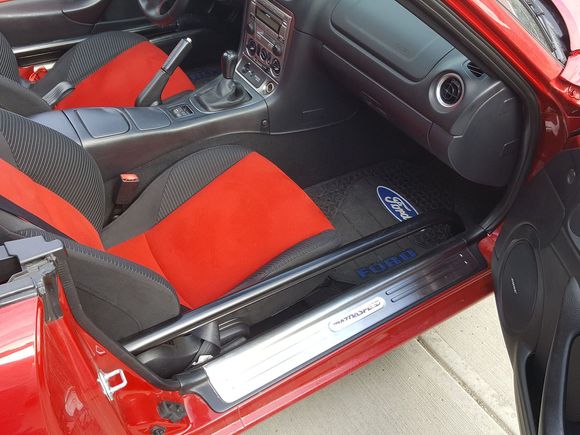 Door bars.  Note the snazzy Ford rubber mats.