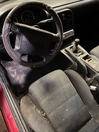 Fucking mold and spiders nest everywhere. A super crusty steering wheel cover that had turned hard and brittle. 