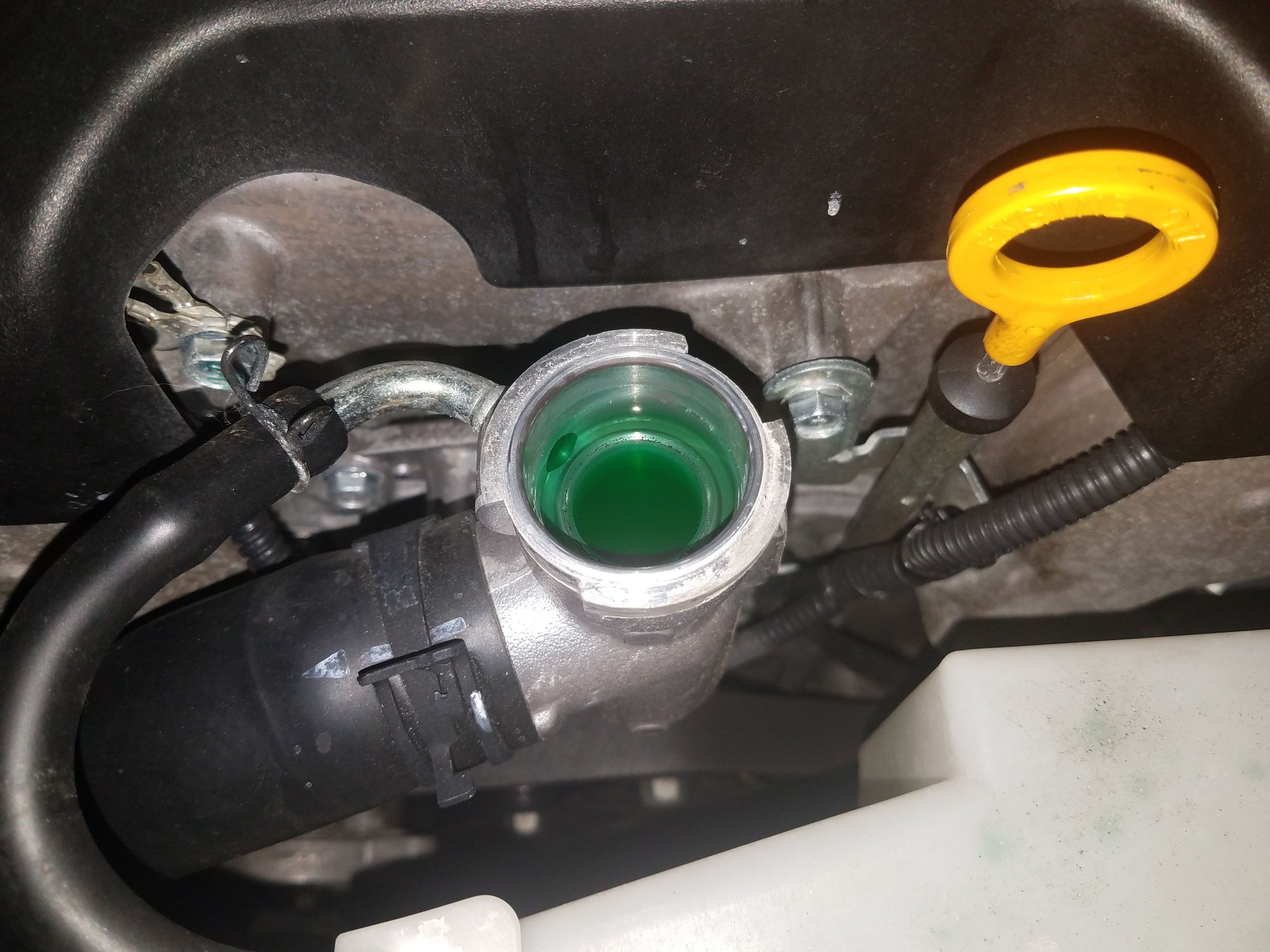 Losing coolant in 2012 G37 Sedan MyG37