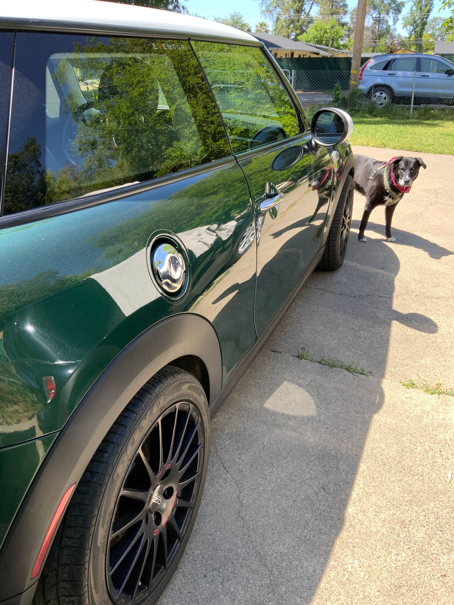 2015 Mini F56: Mini Hatch/Hardtop - British racing green hardtop - Used - VIN Wmwxp7c59f2a34655 - 66,000 Miles - 4 cyl - 2WD - Automatic - Hatchback - Other - Minneapolis, MN 55412, United States