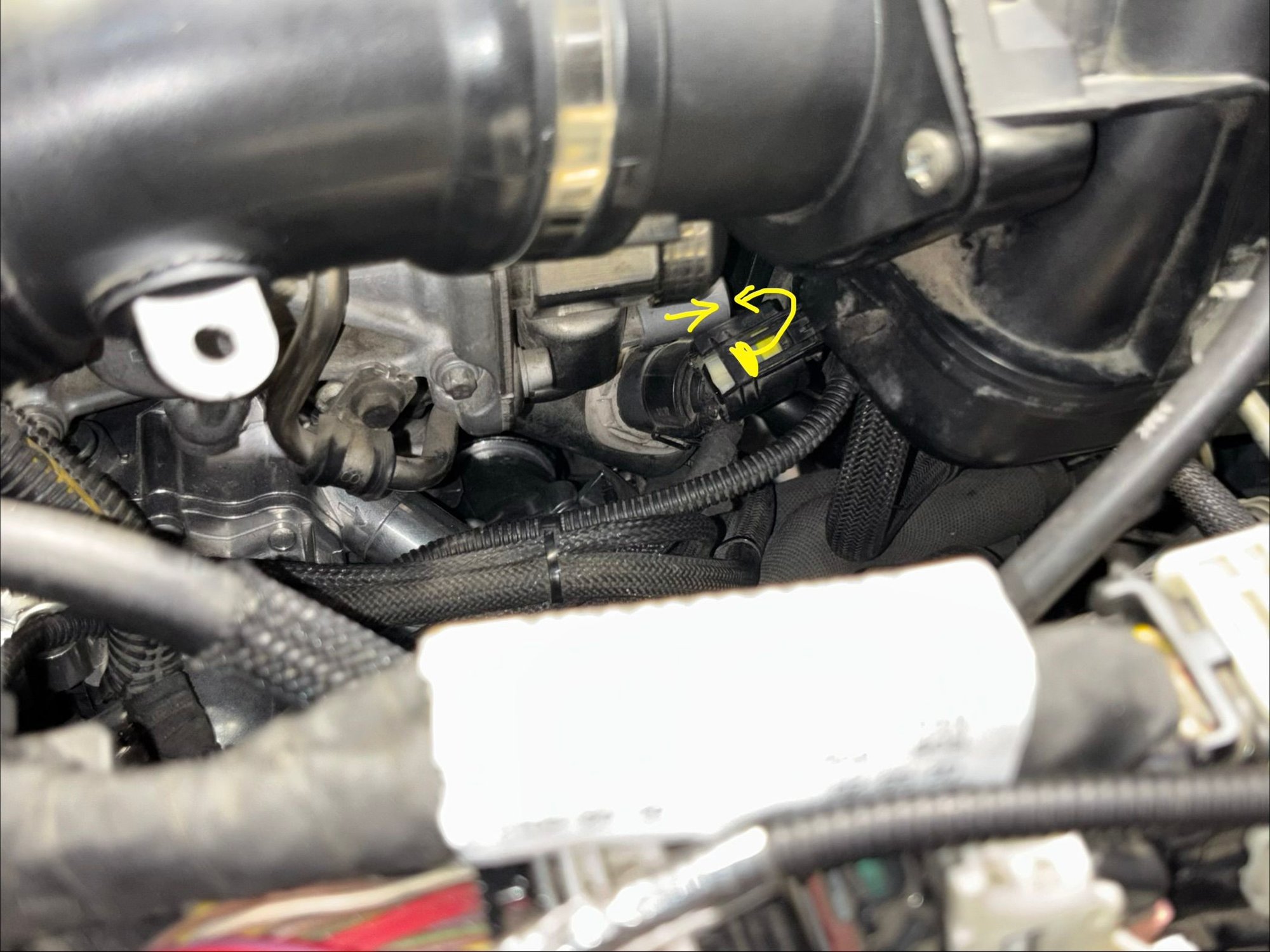 Fuel rail pressure sensor. 