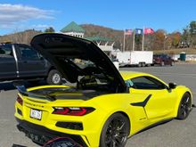 Come catch me yellow.  Think this will attract the Cops?