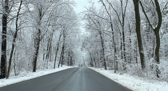 Straight out of Frozen