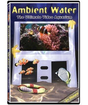 Ambient Water DVD